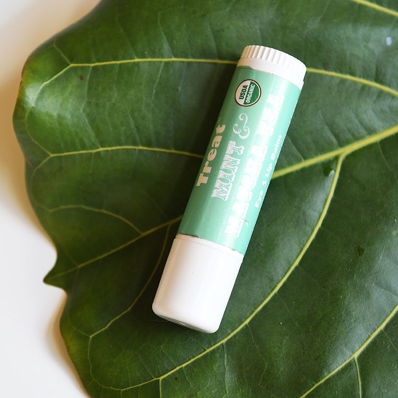 Treat Matcha Mint Jumbo Lip Balm, an organic chapstick alternative, pictured on a fig leaf, best budget clean lip balms